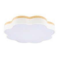 Купить Накладной светильник LOFT IT 10225/36 White