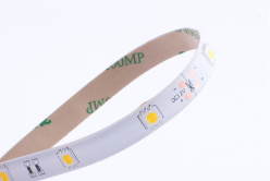 Купить Лента SWG SWG530-12-7.2-WW-65