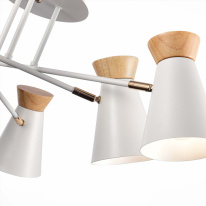 Цена на Люстра на штанге Evoluce SLE1252-502-06