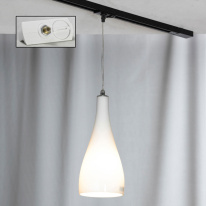 Фото Светильник на шине Lussole LSF-1106-01-TAW