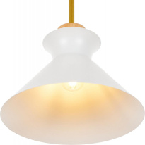 Фото Подвесной светильник MyFar MR1352-1P