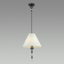 Купить Подвесной светильник Odeon Light 4896/1