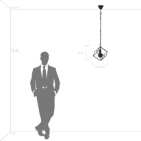 Купить с доставкой по Москве и России Подвесной светильник Lightstar 732317