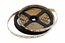 Фото Лента SWG SWG560-24-14.4-WWW-20