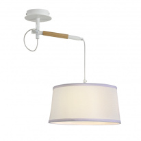 Подвесной светильник F-Promo 3005-1P Фото Подвесной светильник F-Promo 3005-1P