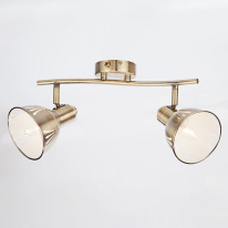 Цена на Спот Eurosvet 20052/2 античная бронза