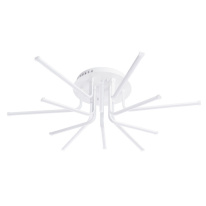 Фото Накладной светильник ARTE Lamp A6207PL-12WH