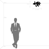 Купить с доставкой по Москве и России Накладная люстра Lightstar 754166