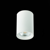 Цена на Накладной светильник ST-Luce ST114.507.01