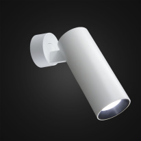 Купить Спот Citilux CL01B120N