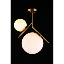 Купить с доставкой по Москве и России Накладной светильник APLOYT APL.300.07.02