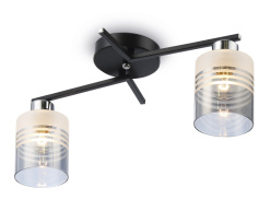 Накладной светильник Ambrella Light TR303211 Фото Накладной светильник Ambrella Light TR303211