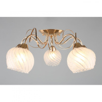 Купить Накладная люстра Omnilux OML-24907-05