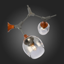 Цена на Люстра на штанге Evoluce SLE113402-05