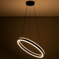 Цена на Подвесная люстра Citilux CL719501