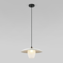 Фото Подвесной светильник Eurosvet 50259/1 белый/матовый