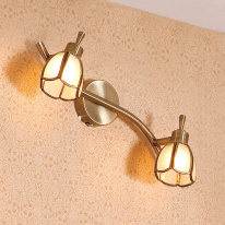 Купить Спот Citilux CL522521