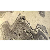 Цена на Настольная лампа Odeon Light 5064/2T