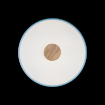 Купить с доставкой по Москве и России Детский светильник LOFT IT 10003/24 Blue