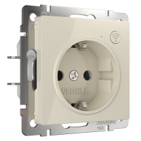 Фото Розетка Werkel W1171603