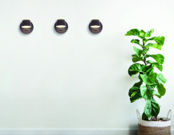 Цена на Бра Ambrella Light FW168