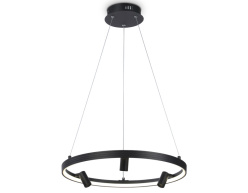 Фото Подвесной светильник Ambrella Light FL5284