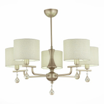 Фото Люстра на штанге Evoluce SLE107703-05