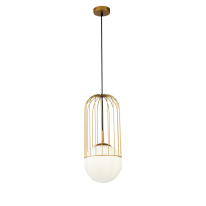 Подвесной светильник Maytoni P363PL-01G Фото Подвесной светильник Maytoni P363PL-01G