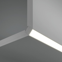 Купить с доставкой по Москве и России Профиль Maytoni Technical ALM-5022-S-2M