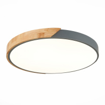 Фото Накладной светильник Evoluce SLE200972-01