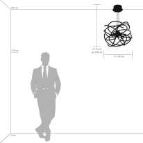 Купить с доставкой по Москве и России Подвесная люстра Lightstar 748152