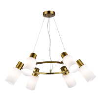 Купить Подвесная люстра Evoluce SLE1139-303-06