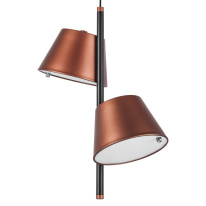 Купить Lightstar 719223