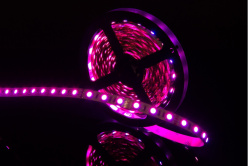 Купить с доставкой по Москве и России Лента SWG SWG560-12-14.4-RGB