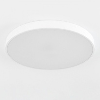 Купить с доставкой по Москве и России Накладной светильник Citilux CL724105G0