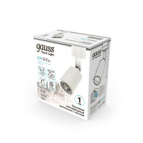 Купить с доставкой по Москве и России Светильник на шине Gauss TR089