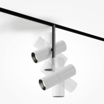 Светильник на шине Maytoni Technical TR005-4-2X12W-DS-BW в интернет магазине Гет Лайт