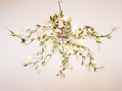 Купить Abrasax MD81156/12 (CH)