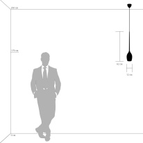 Цена на Подвесной светильник Lightstar 807110