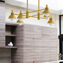 Купить с доставкой по Москве и России Люстра на штанге ImperiumLoft 204547-26