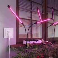 Цена на Розетка Werkel W1171601