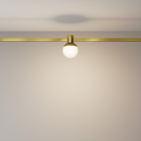 Цена на Светильник на шине Maytoni Technical TR149-1-5W3K-BS