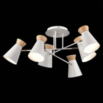 Люстра на штанге Evoluce SLE1252-502-06 в интернет магазине Гет Лайт