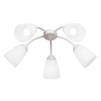 Фото Накладная люстра Vitaluce V3187-0/5PL