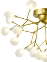 Купить Накладная люстра Natali Kovaltseva GRACE 75126/6C GOLD SATIN