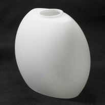 Купить с доставкой по Москве и России Накладная люстра Lussole LSP-0189