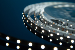 Купить с доставкой по Москве и России Лента DesignLed DSG360-12-W-33