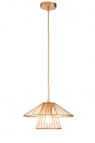 Фото Подвесной светильник Indigo V000285