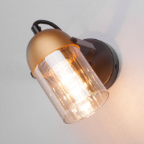 Купить Спот Eurosvet 20122/1 черный/золото