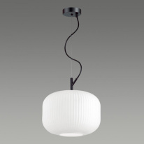 Цена на Подвесной светильник Odeon Light 4754/1